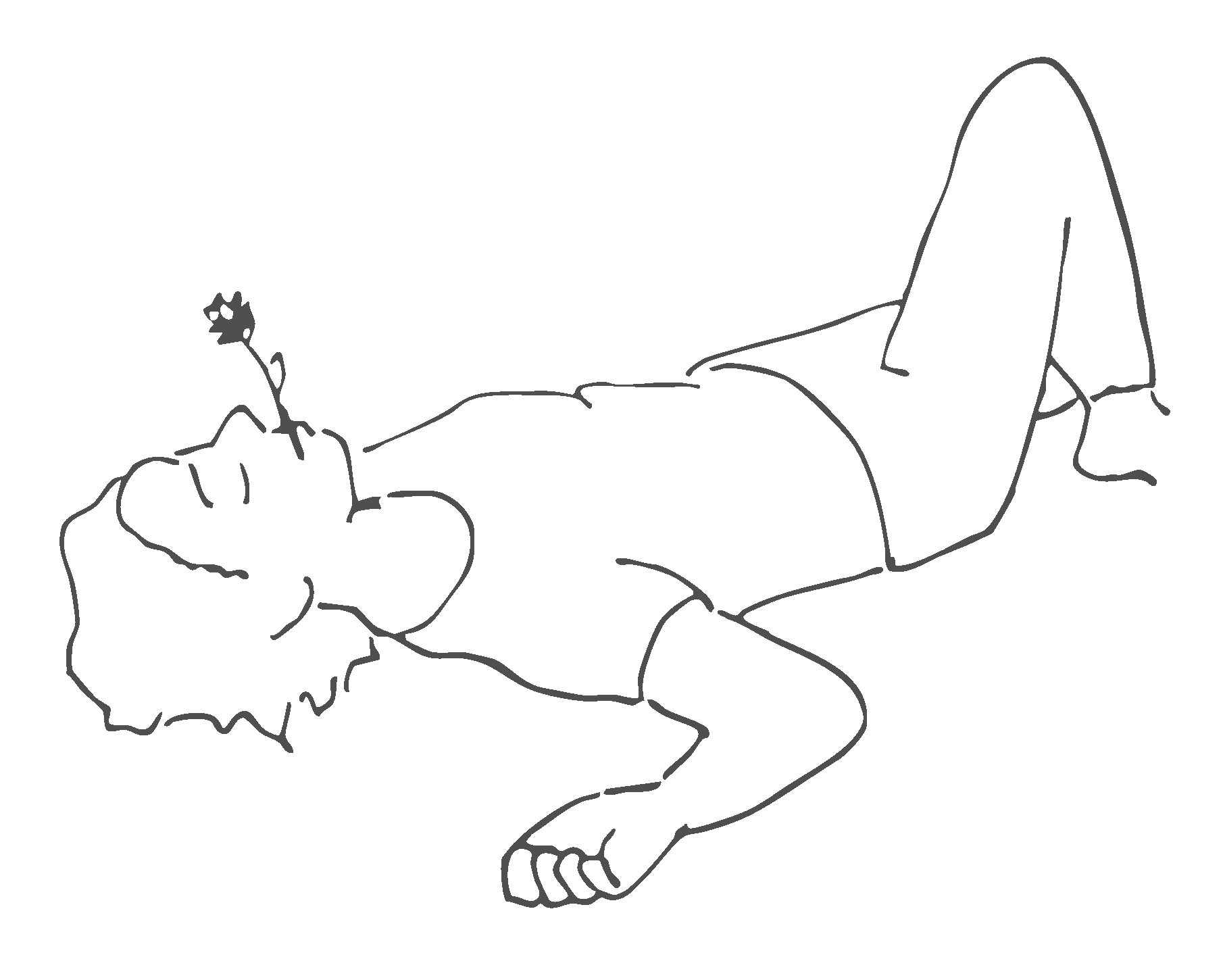 fiorellino plan de travail 1